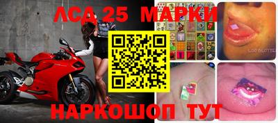 прущие грибы Ковров