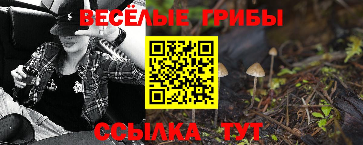 Псилоцибиновые грибы прущие грибы  где купить наркоту  Сыктывкар  Вход с VPN  Псилоцибиновые грибы Psilocybe 